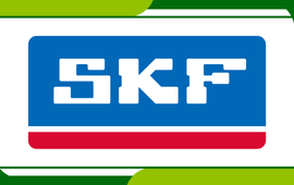 SKF Bearings Ltd