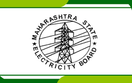 State Electricity Boards